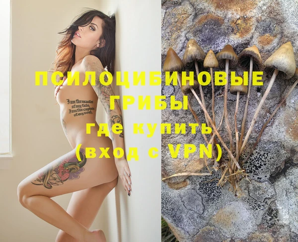 амф Балахна