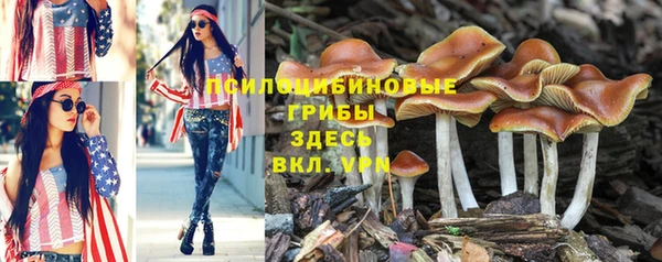 амф Балахна