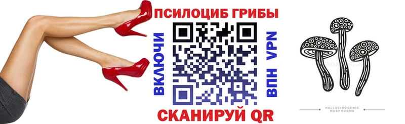Псилоцибиновые грибы Cubensis  мега маркетплейс  Новый Оскол 